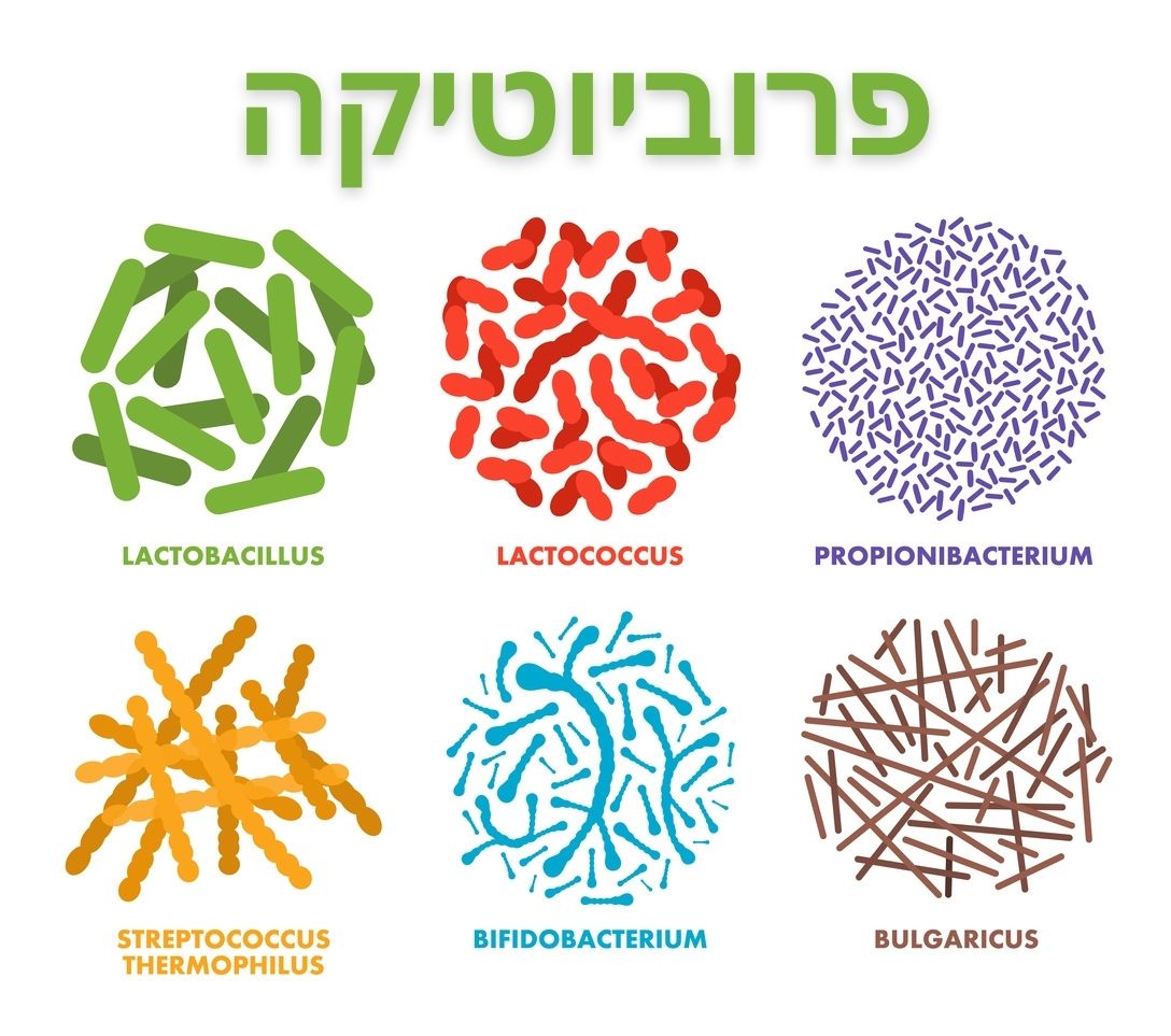פרוביוטיקה (בכותרת) ותמונות של סוגי חיידקים שונים